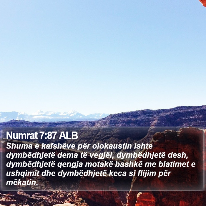 Numrat 7:87 ALB Bible Study