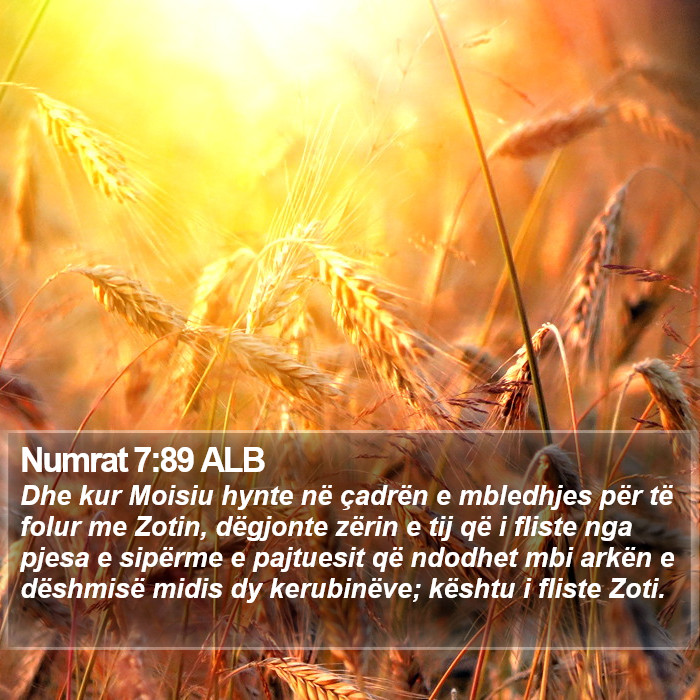 Numrat 7:89 ALB Bible Study