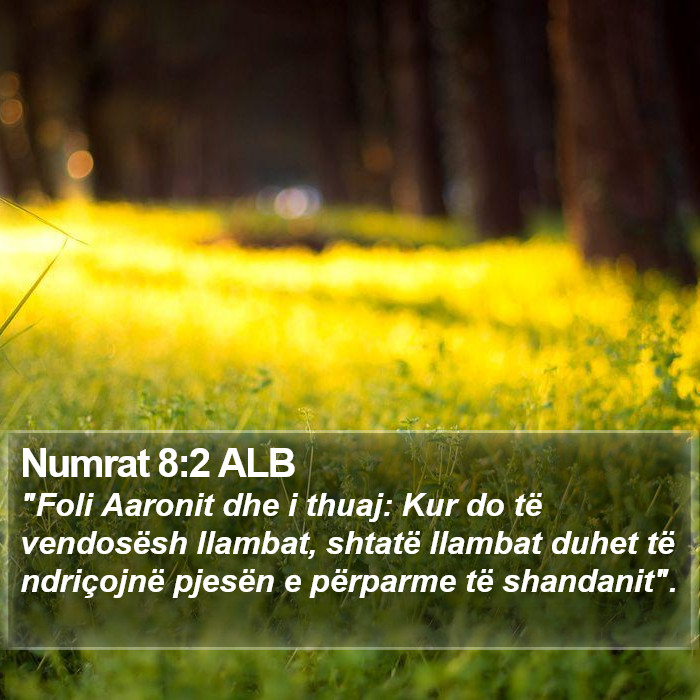 Numrat 8:2 ALB Bible Study