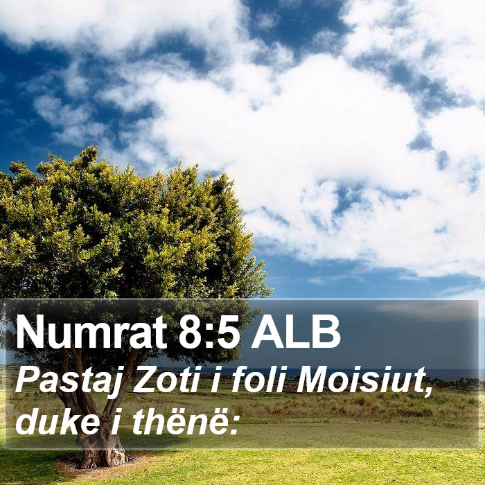 Numrat 8:5 ALB Bible Study