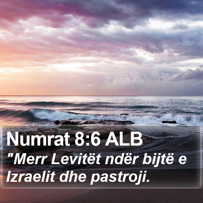 Numrat 8:6 ALB Bible Study