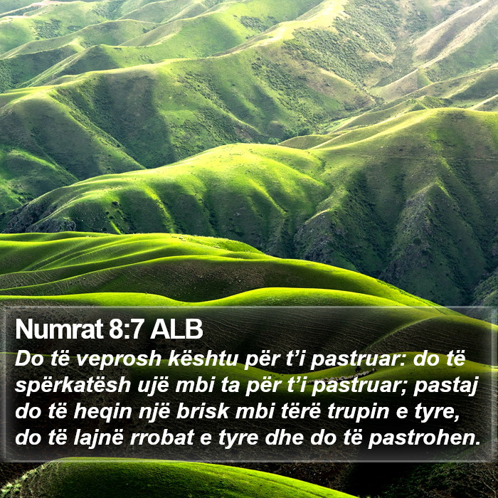 Numrat 8:7 ALB Bible Study