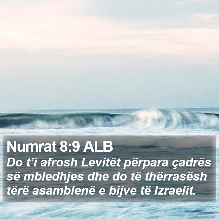 Numrat 8:9 ALB Bible Study