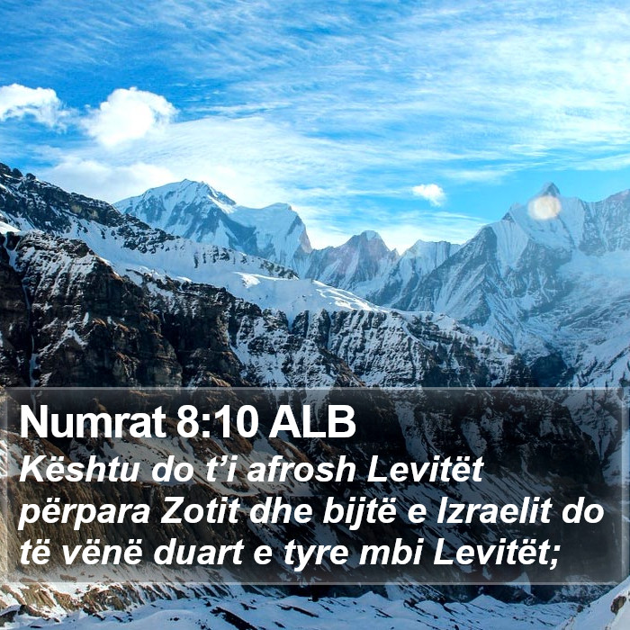 Numrat 8:10 ALB Bible Study
