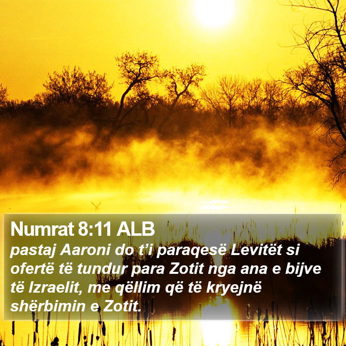Numrat 8:11 ALB Bible Study