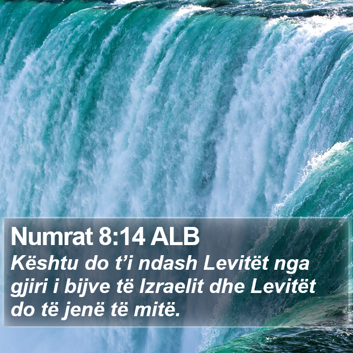 Numrat 8:14 ALB Bible Study