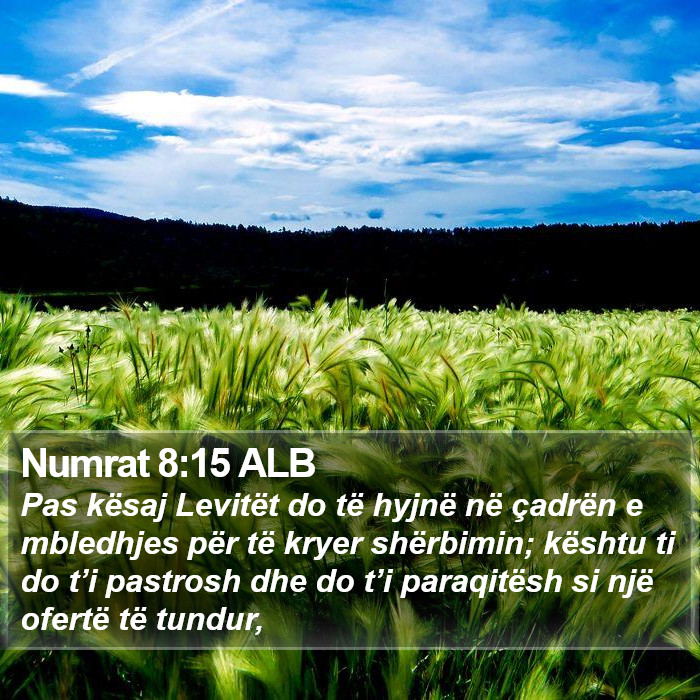 Numrat 8:15 ALB Bible Study