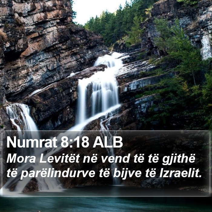 Numrat 8:18 ALB Bible Study