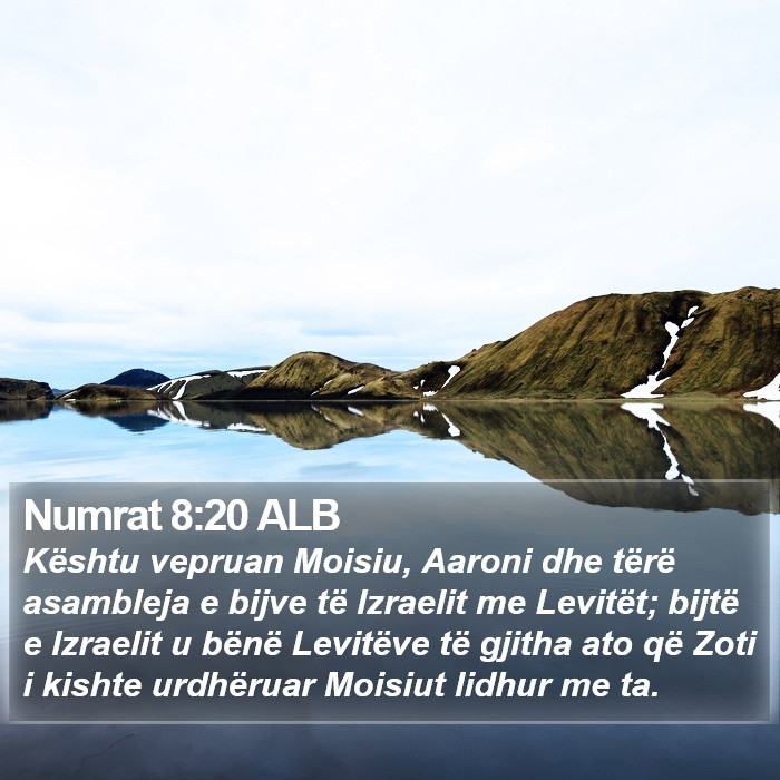 Numrat 8:20 ALB Bible Study