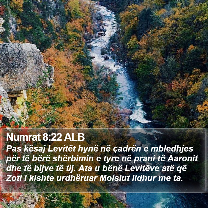 Numrat 8:22 ALB Bible Study