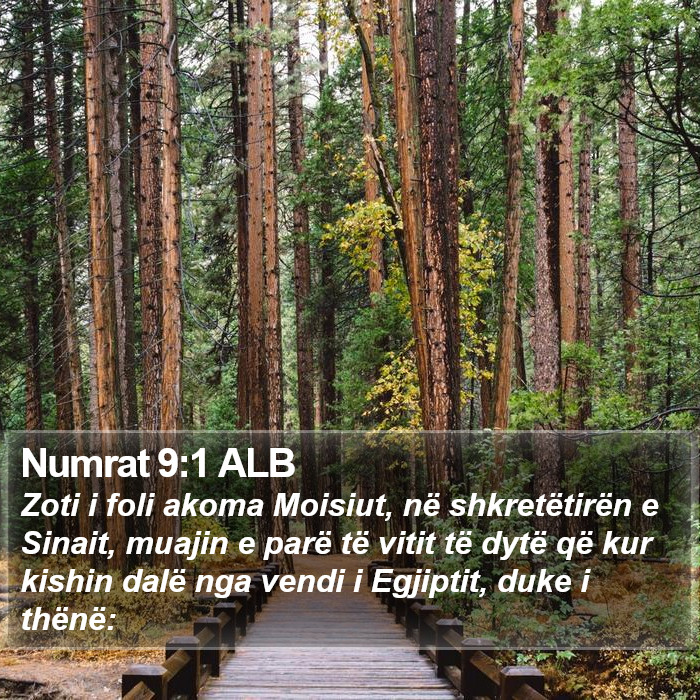 Numrat 9:1 ALB Bible Study