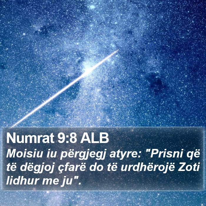 Numrat 9:8 ALB Bible Study