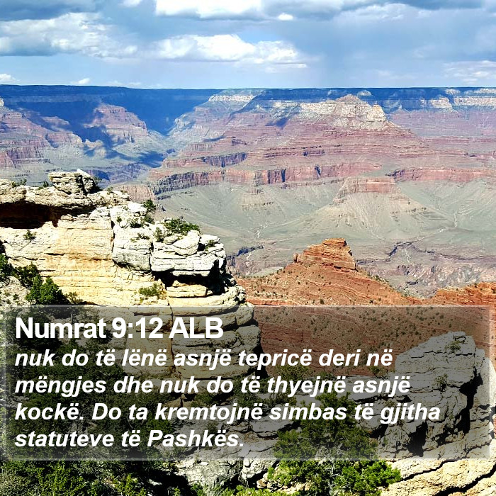 Numrat 9:12 ALB Bible Study