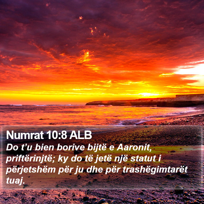 Numrat 10:8 ALB Bible Study