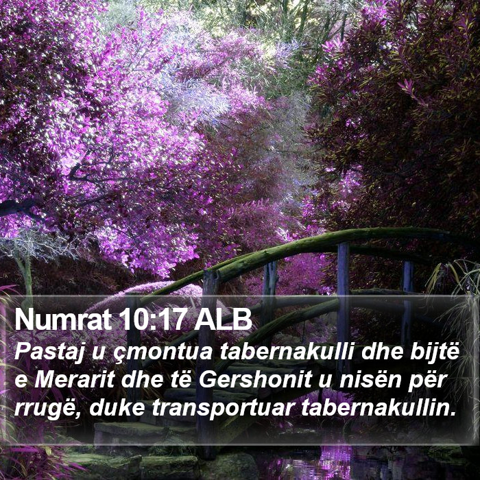 Numrat 10:17 ALB Bible Study