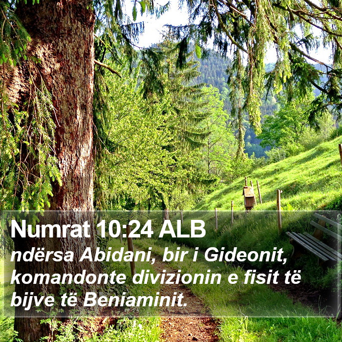 Numrat 10:24 ALB Bible Study