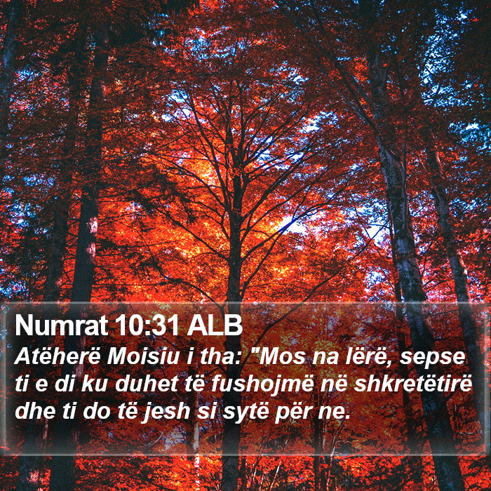 Numrat 10:31 ALB Bible Study