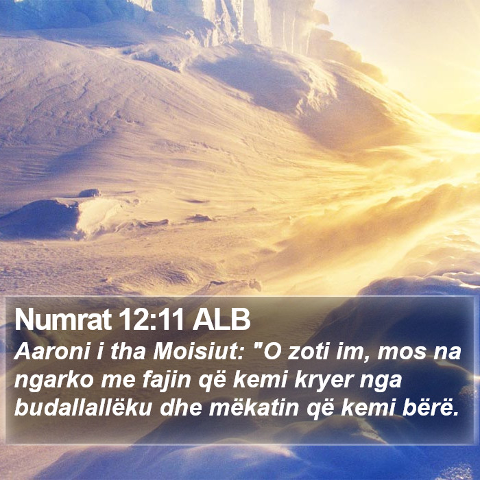 Numrat 12:11 ALB Bible Study