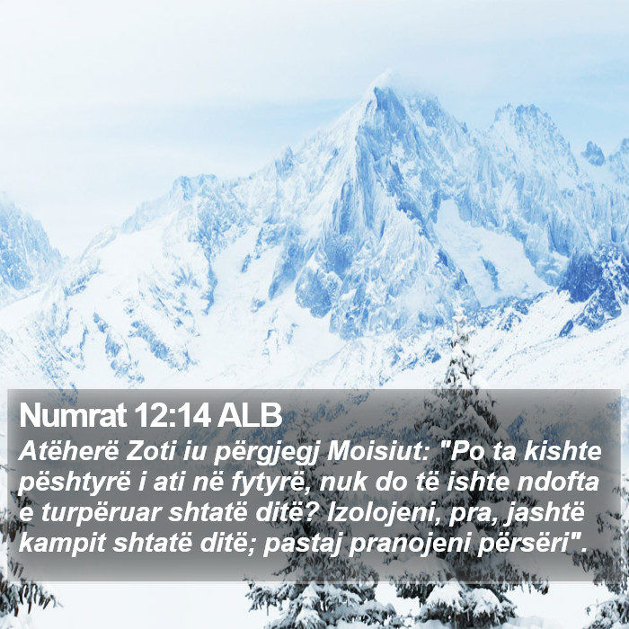 Numrat 12:14 ALB Bible Study