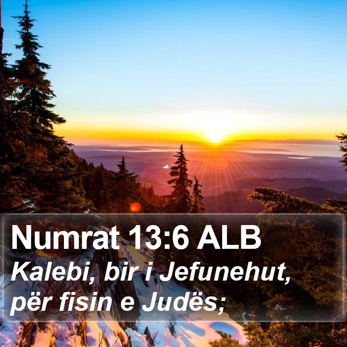 Numrat 13:6 ALB Bible Study