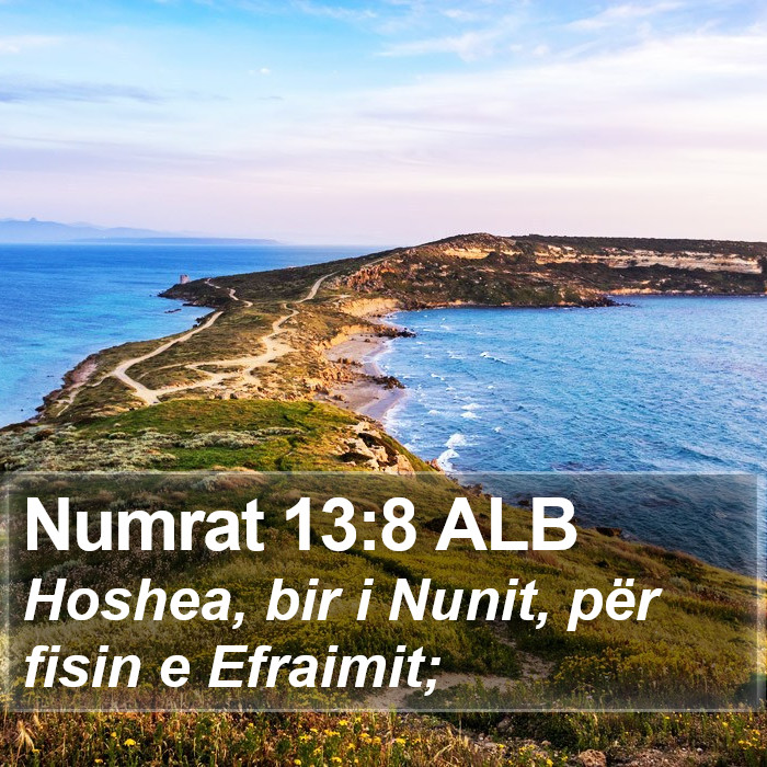 Numrat 13:8 ALB Bible Study