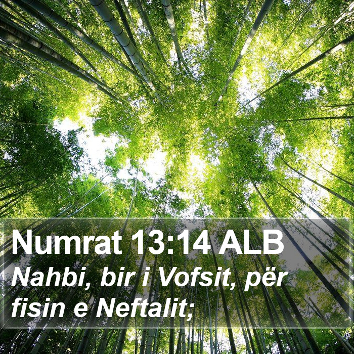 Numrat 13:14 ALB Bible Study