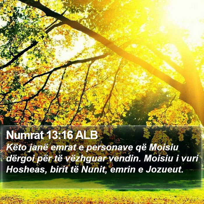 Numrat 13:16 ALB Bible Study