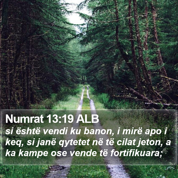 Numrat 13:19 ALB Bible Study