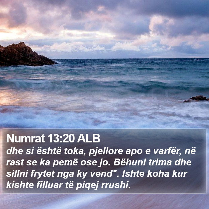 Numrat 13:20 ALB Bible Study