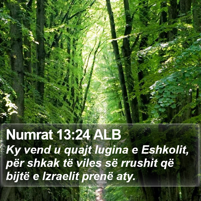 Numrat 13:24 ALB Bible Study