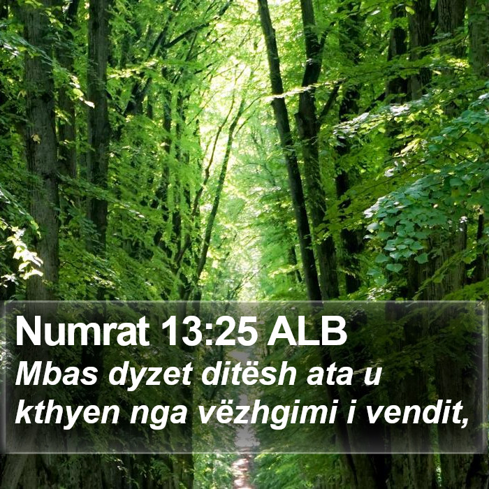 Numrat 13:25 ALB Bible Study