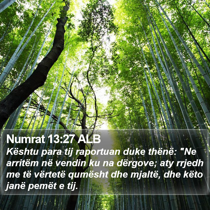 Numrat 13:27 ALB Bible Study