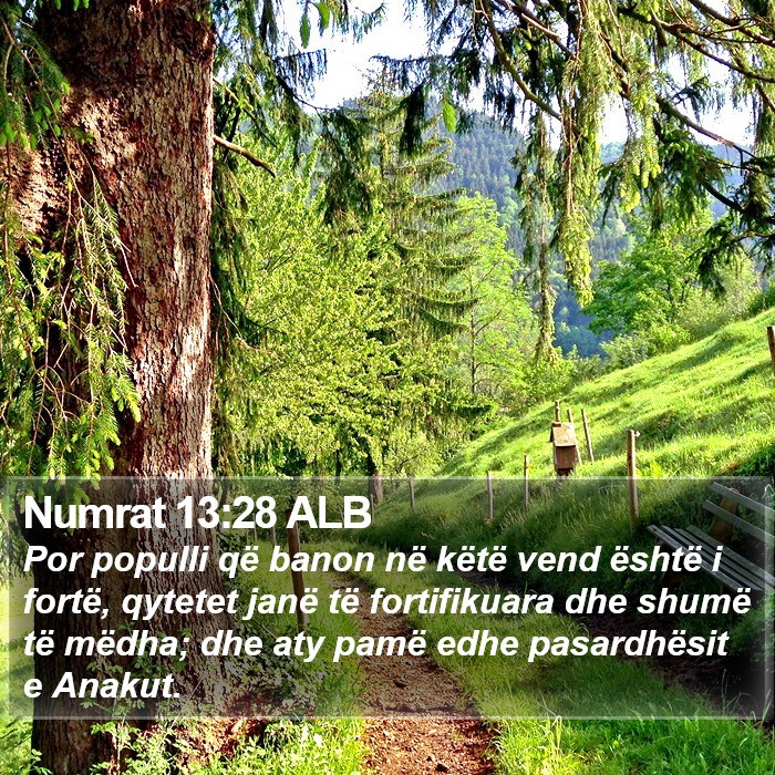 Numrat 13:28 ALB Bible Study