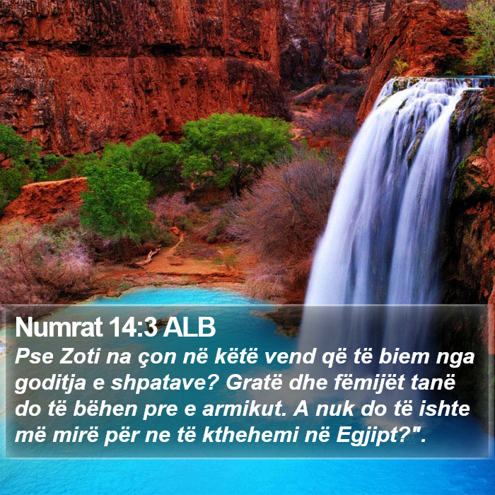 Numrat 14:3 ALB Bible Study