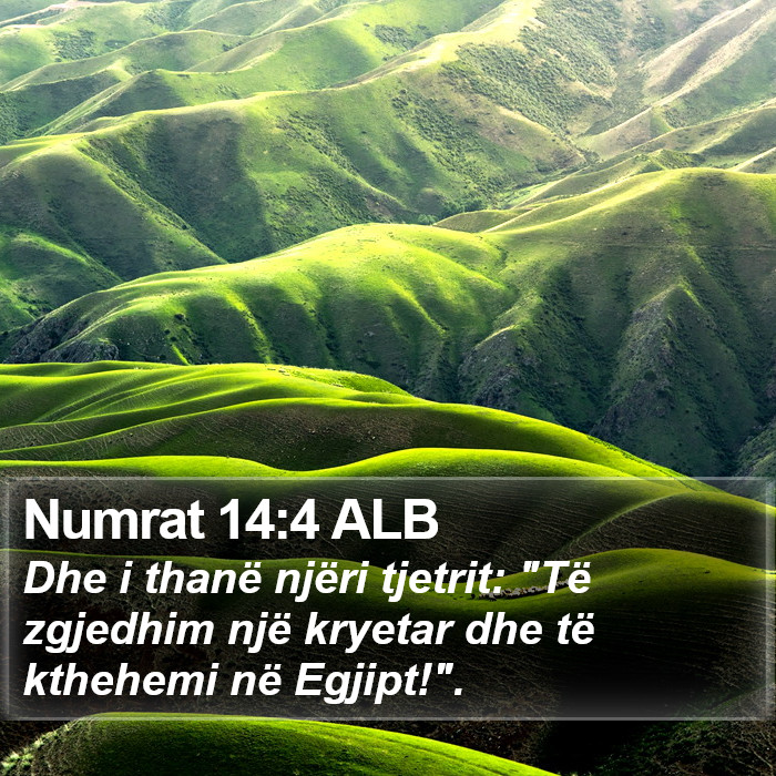 Numrat 14:4 ALB Bible Study