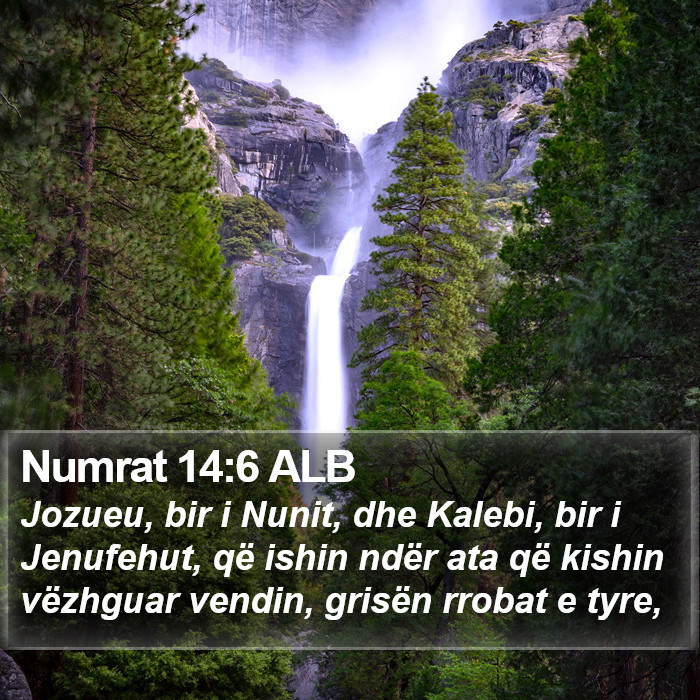 Numrat 14:6 ALB Bible Study