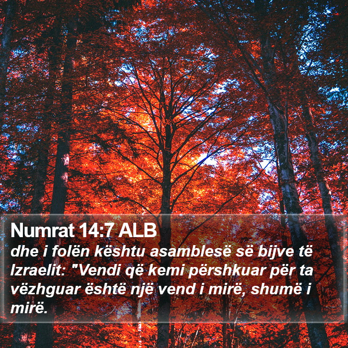 Numrat 14:7 ALB Bible Study