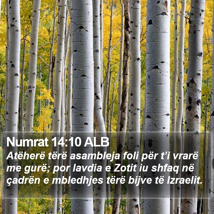 Numrat 14:10 ALB Bible Study