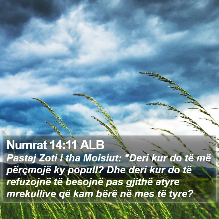 Numrat 14:11 ALB Bible Study