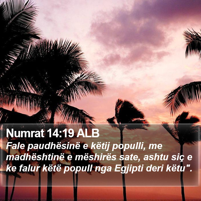 Numrat 14:19 ALB Bible Study