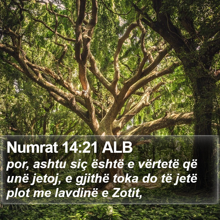 Numrat 14:21 ALB Bible Study