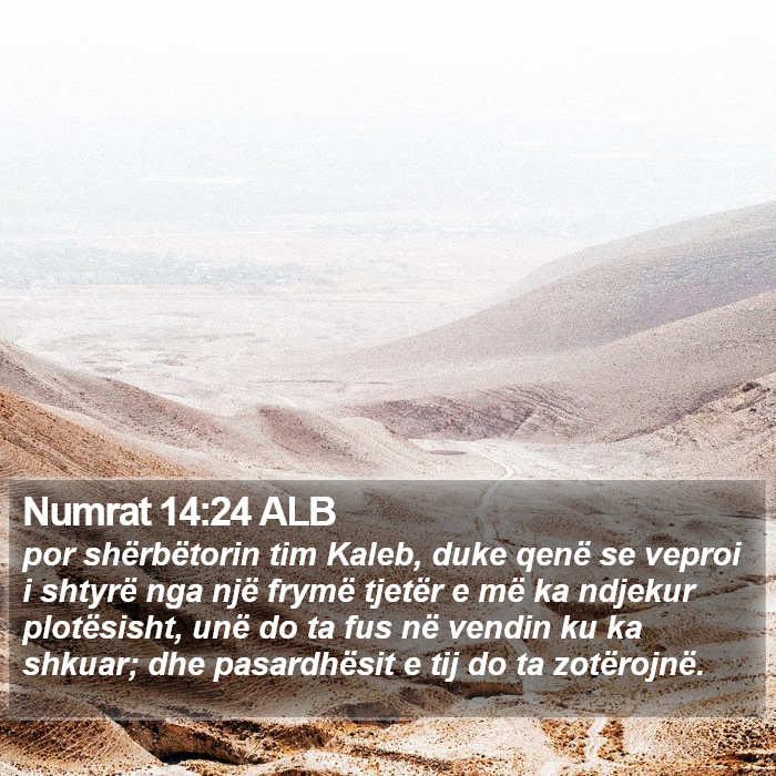 Numrat 14:24 ALB Bible Study