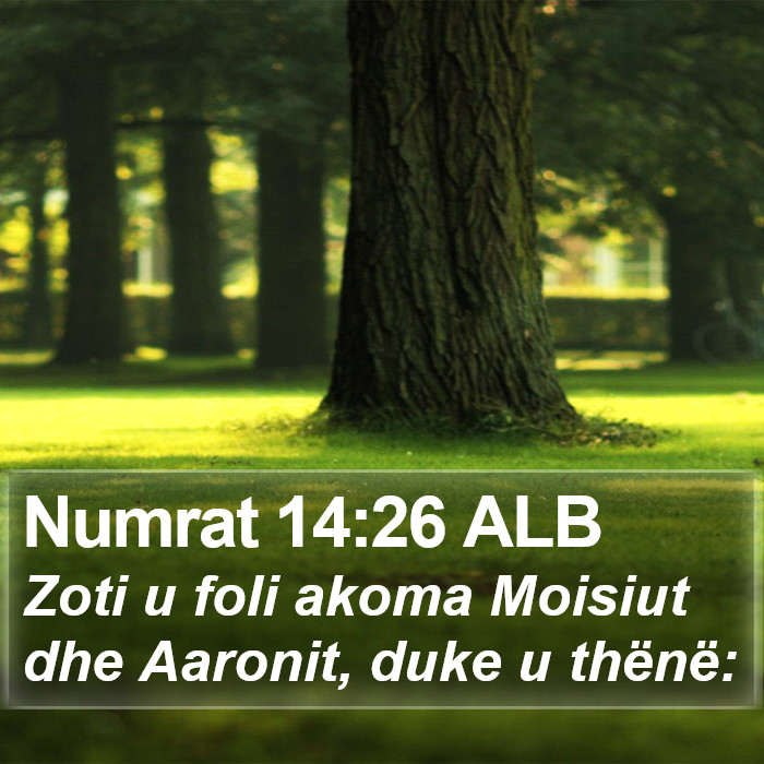 Numrat 14:26 ALB Bible Study