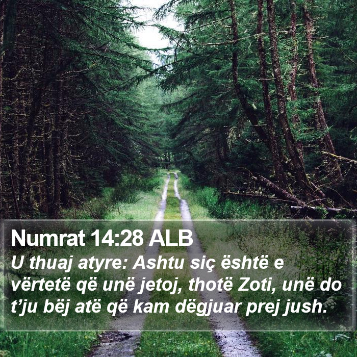 Numrat 14:28 ALB Bible Study