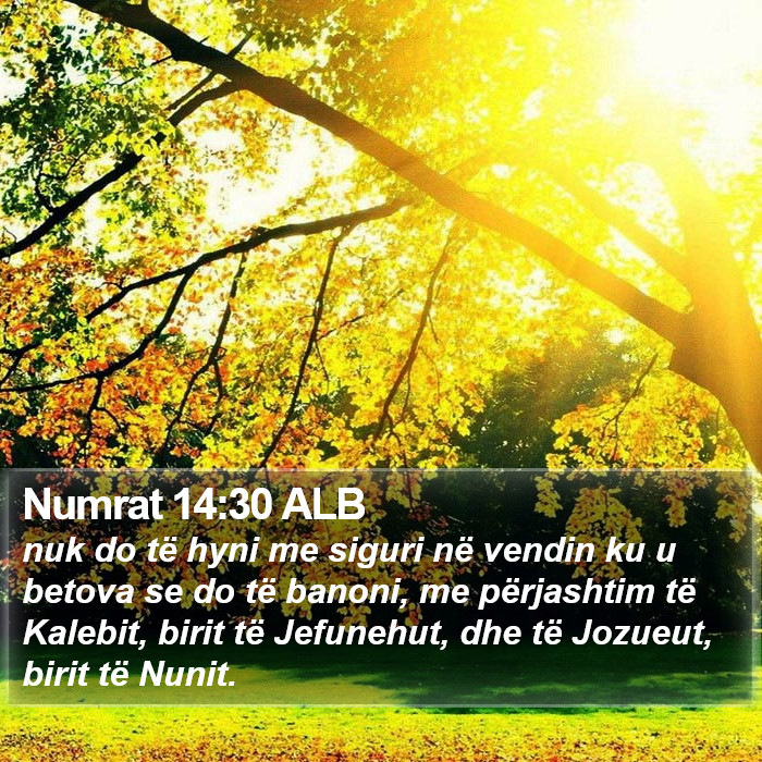 Numrat 14:30 ALB Bible Study