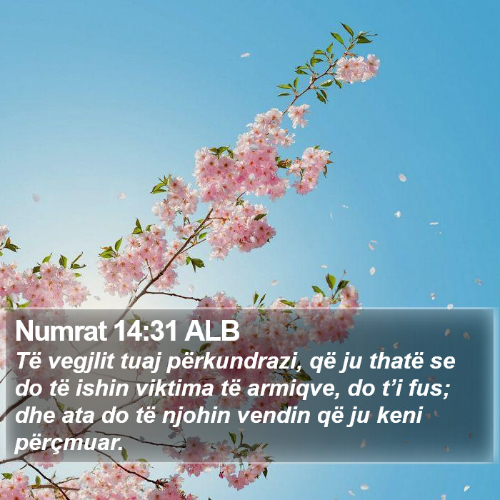 Numrat 14:31 ALB Bible Study