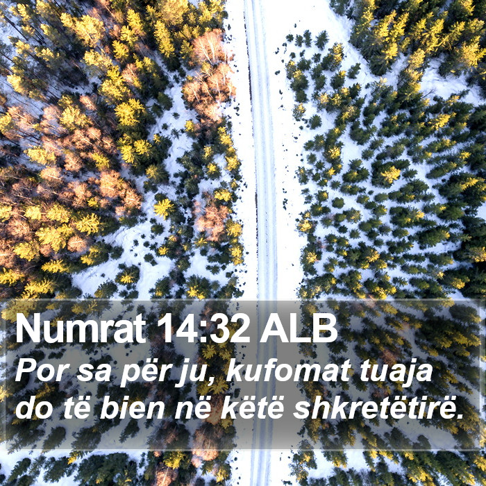 Numrat 14:32 ALB Bible Study