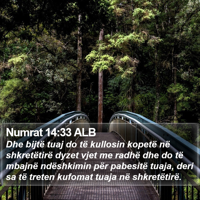 Numrat 14:33 ALB Bible Study