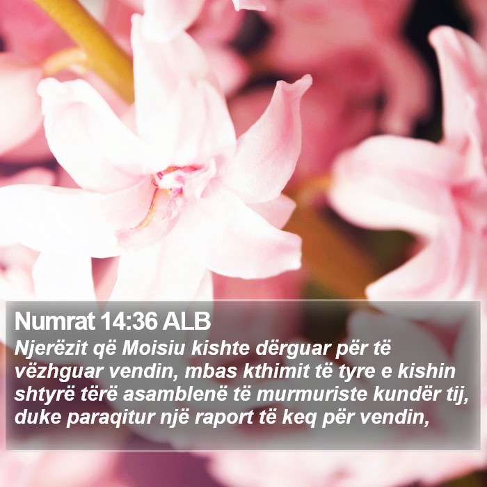 Numrat 14:36 ALB Bible Study