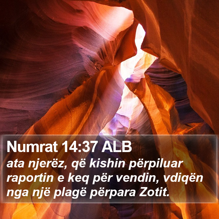 Numrat 14:37 ALB Bible Study